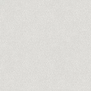 Wallpaper Dotted Design 15.6m × 106cm Gray with Dots | Luxury line
